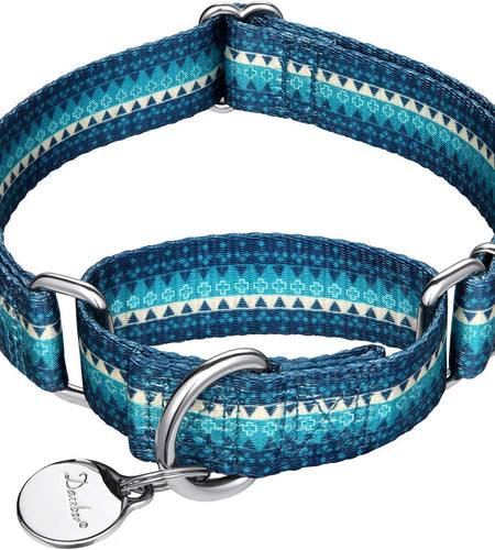 Martingale Collar Nylon Dog Collar -  No Pull Pet Collar Heavy Duty for Medium and Large Dogs, Adjustable 17 Inch to 25 Inch, Turquoise Green